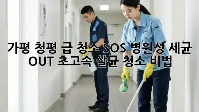 가평 청평 급 청소 SOS🚨 병원성 세균 OUT! 초고속 살균 청소 비법✨