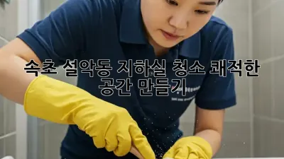 속초 설악동 지하실 청소: 쾌적한 공간 만들기